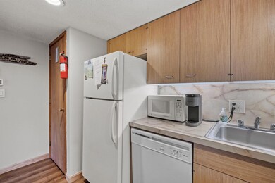 51 Whaleback Rd unit 2, Lincoln, NH 03251 - photo 5