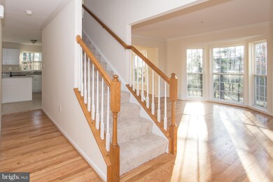 13115 Bay Hill Dr, Beltsville, MD 20705 - photo 6