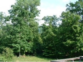 75 Stanton Ln, Greeneville, TN 37743 - photo 7