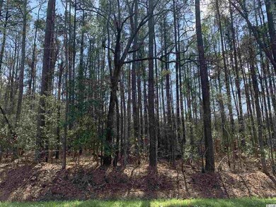 TBD-A4 Highway 668, Conway, SC 29526 - photo 2