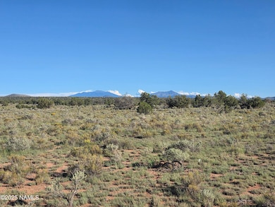 10072 Red Butte Rd, Valle, AZ 86046 - photo 2