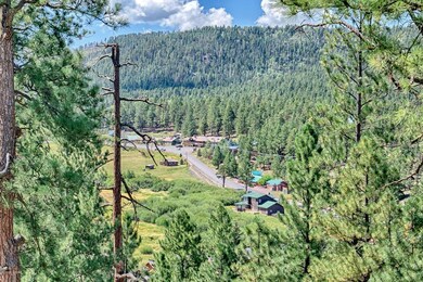 Lot #12 Greer View Estates, Greer, AZ 85927 - photo 2