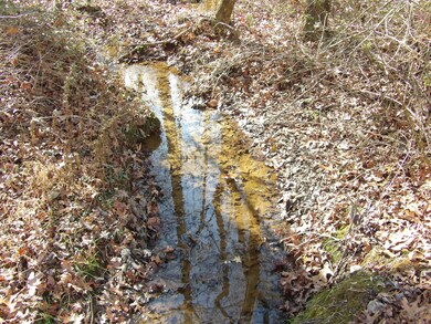 340 Rd, Evensville, TN 37332 - photo 5