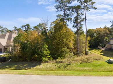 5582 Bright Timber Landing Dr, Spring, TX 77386 - photo 4