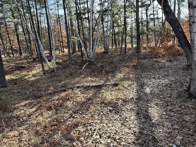 TBD County Road 4, Breezy Point, MN 56472 - photo 6