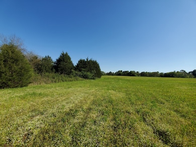 250 Temple Ford Rd, Shelbyville, TN 37160 - photo 4