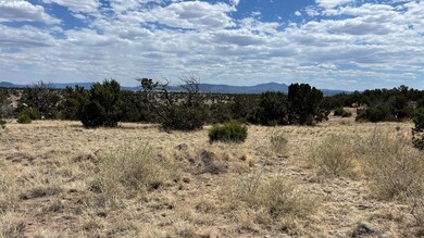 0 Warpath Rd unit 23912666, Quemado, NM 87829 - photo 3
