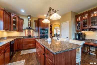 4126 W Sandridge Ct, Peoria, IL 61615 - photo 7