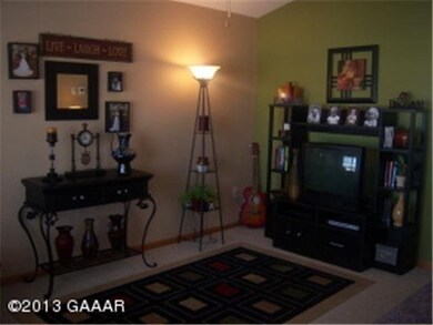 1001 Benjamin Dr, Alexandria, MN 56308 - photo 4