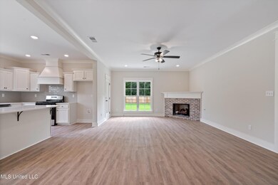 2594 Della St, Hernando, MS 38632 - photo 6