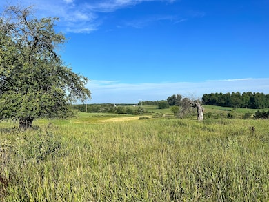 21575 150th Ave, Big Rapids, MI 49307 - photo 2