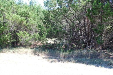 8130 High Mesa Dr, Whitney, TX 76692 - photo 4