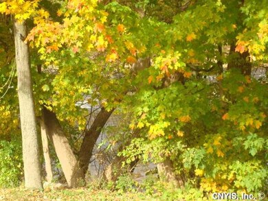 Other Back yard