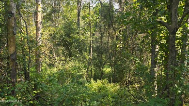 00 Nelson Corner Rd, Roxie, MS 39661 - photo 3