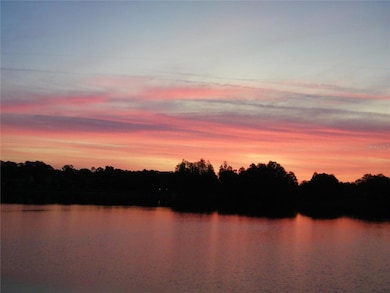 17017 Paula Ln, Lutz, FL 33558 - photo 3