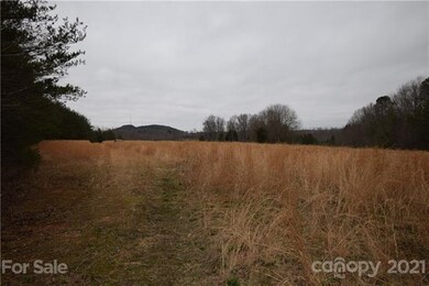 00 Robinson Yelton Rd, Clover, SC 29710 - photo 7