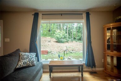 12 Parkway Creek Dr, Asheville, NC 28803 - photo 6