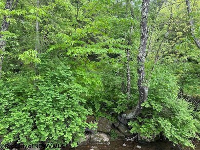 TBD Moyer Hollow Rd, Elkins, WV 26241 - photo 7