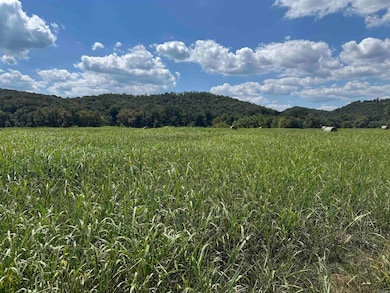 64-65 White River Run, Guion, AR 72540 - photo 2