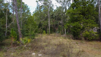 0 NW 30th St unit 796107, Chiefland, FL 32626 - photo 4