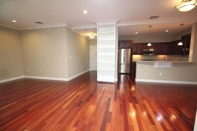 20 Corporal McTernan St unit 206, Cambridge, MA 02139 - photo 2