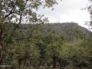 6530 W Ruin Hill Loop unit 150, Pine, AZ 85544 - photo 6