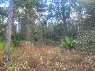 10298 Meadow Wren Ave, Weeki Wachee, FL 34613 - photo 4