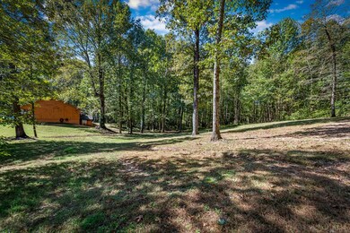 134 Ebenezer Rd, Ellijay, GA 30536 - photo 6