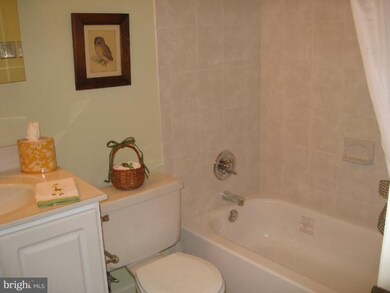 7066 Winter Rose Path, Columbia, MD 21045 - photo 3