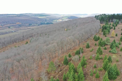 0WP Wothe-Freeman Rd, Deruyter, NY 13052 - photo 6