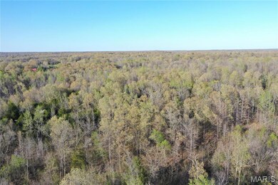 0 Engelberg Rd unit MIS25023089, Pocahontas, AR 72455 - photo 6