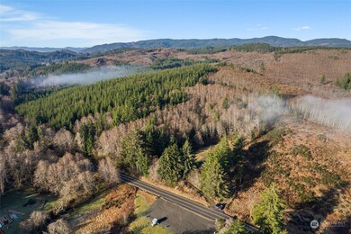 295 Butte Creek Rd, Raymond, WA 98577 - photo 2