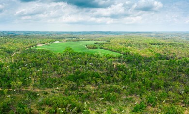 DJI_0740-Pano