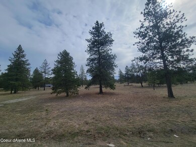 NNA N Williams Ln, Athol, ID 83801 - photo 5