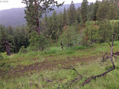0 Bear Creek Elk unit 20026010, Prairie City, OR 97869 - photo 3