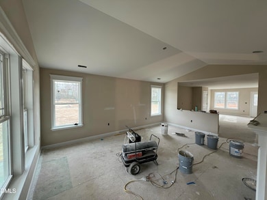 52 Grace Pond Ave, Benson, NC 27504 - photo 3