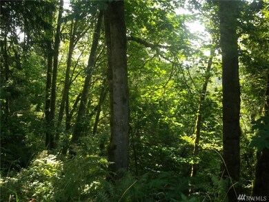 0 Spencer Rd unit 1180517, Salkum, WA 98564 - photo 2