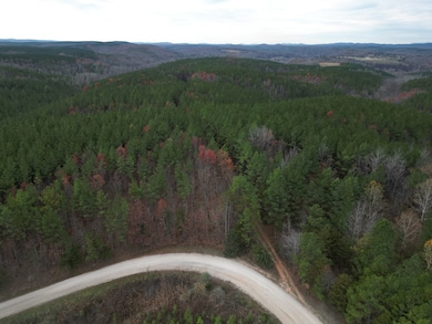 606 Spears Mountain Rd, Wingina, VA 24599 - photo 6