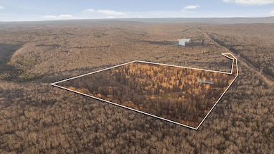 Power Line Overlay 1