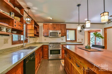 432 Turkey Creek Rd, Leicester, NC 28748 - photo 7