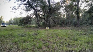 0 Imaginary Ln unit 263416, Crawfordville, FL 32327 - photo 7