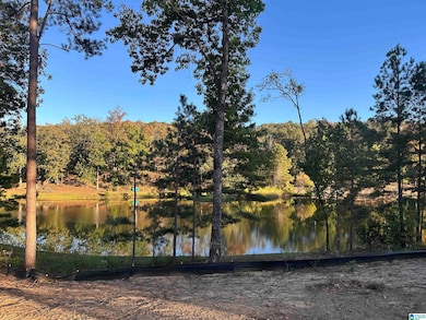 4045 Laurel Lakes Way, Helena, AL 35022 - photo 7