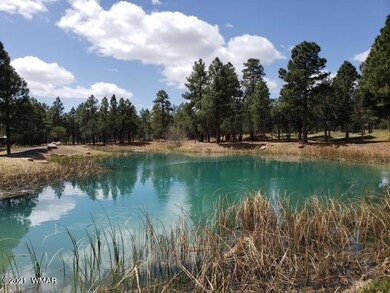 Catch and release fishing pond