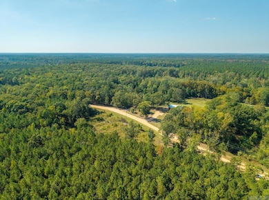 1420 Bradley 8 Rd N, Warren, AR 71671 - photo 6