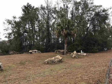 Lot 62 Saralan Garden Dr, Crawfordville, FL 32327 - photo 2