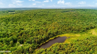 large-59d3692f-4f75-46a5-918d-0ec0040681