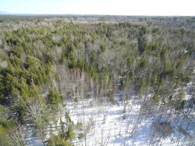DJI_0359