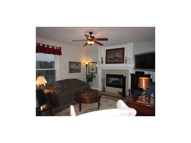 Fireplace with flat panel TV (Stays with home) and
