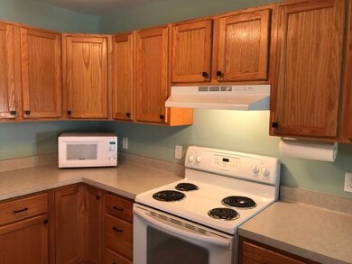 2907 Esser St unit 1, Cross Plains, WI 53528 - photo 4