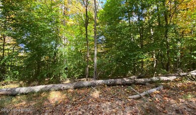 River View Fall174